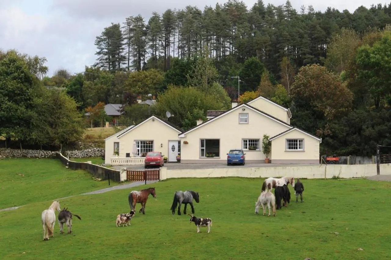 Muckross Riding Stables Killarney
