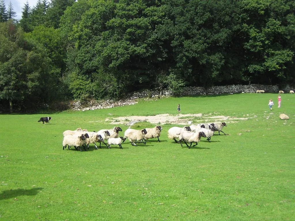 Farm stay Muckross Riding Stables Killarney