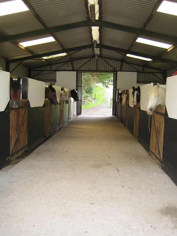 Séjour à la ferme Muckross Riding Stables Killarney