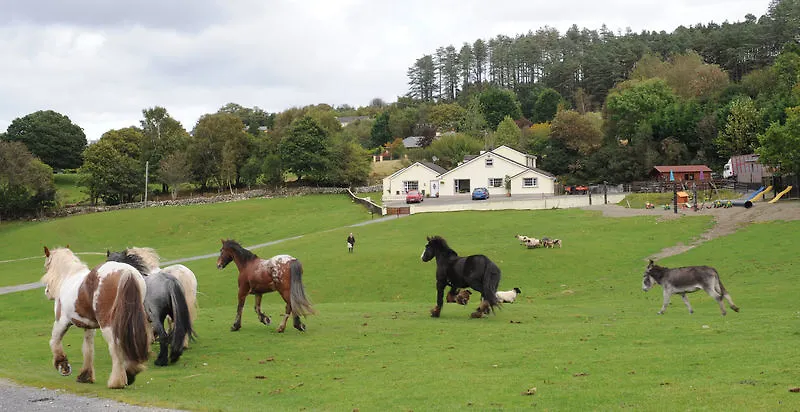 Séjour à la ferme Muckross Riding Stables Killarney