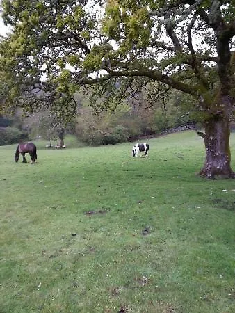 Muckross Riding Stables Killarney Ireland